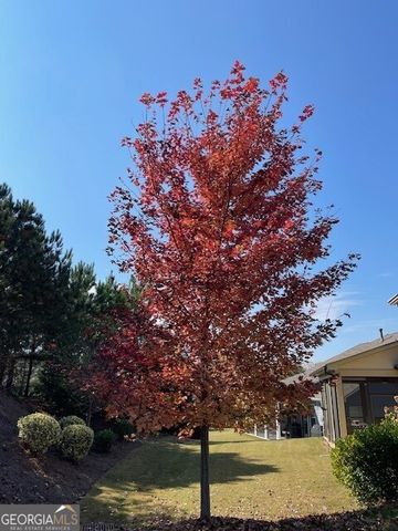 215 Spruce Pine Circle, Peachtree City, GA 30269