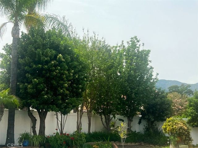 16496 Nectarine Way, Lake Elsinore, CA 92530