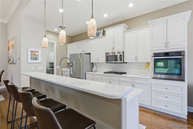 1251 W Skyview Crossing Drive, Hernando, FL 34442