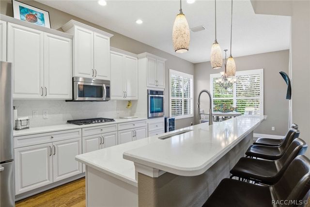 1251 W Skyview Crossing Drive, Hernando, FL 34442