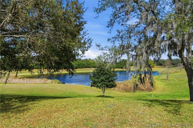 1251 W Skyview Crossing Drive, Hernando, FL 34442
