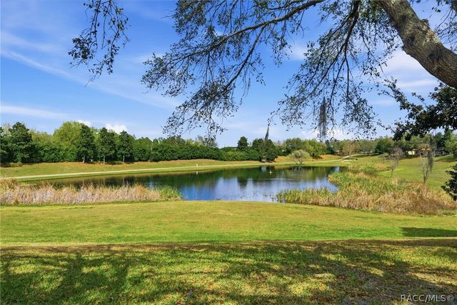 1251 W Skyview Crossing Drive, Hernando, FL 34442