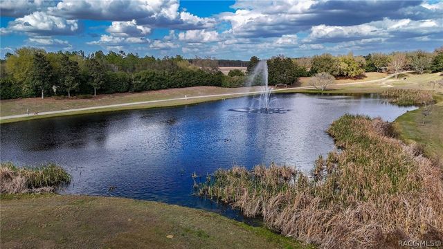 1251 W Skyview Crossing Drive, Hernando, FL 34442