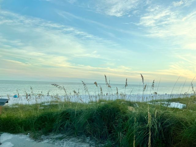 81 Payne Street Lot 12, Miramar Beach, FL 32550