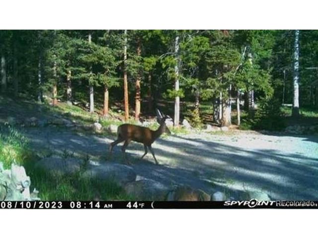 37 Mountain View Dr, Fairplay, CO 80440