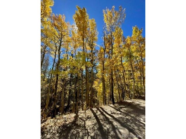 37 Mountain View Dr, Fairplay, CO 80440