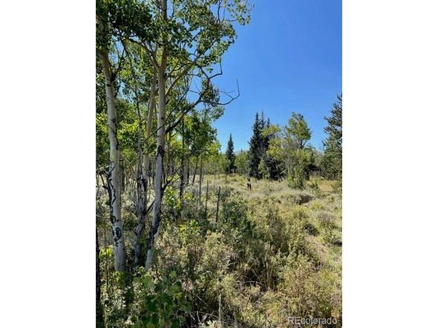 37 Mountain View Dr, Fairplay, CO 80440