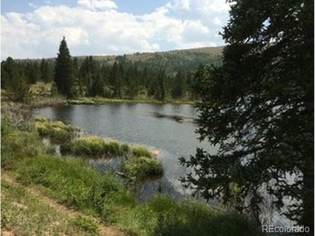 37 Mountain View Dr, Fairplay, CO 80440