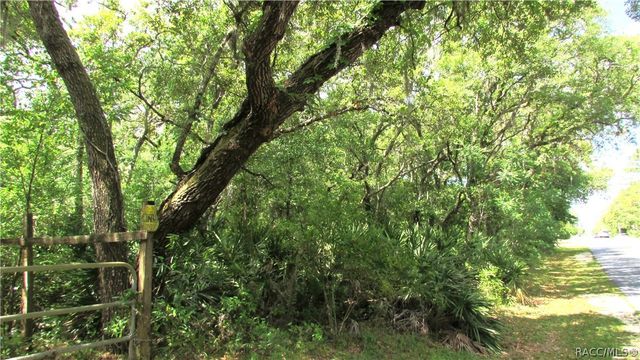 5974 W Oaklawn Street, Homosassa, FL 34446