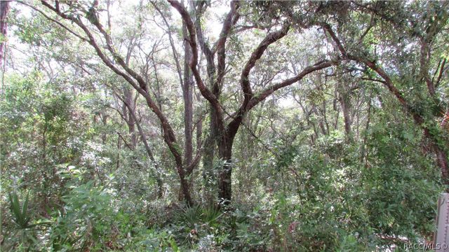 5974 W Oaklawn Street, Homosassa, FL 34446