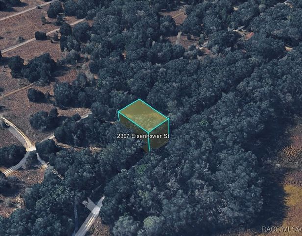 2307 Eisenhower Street, Inverness, FL 34453