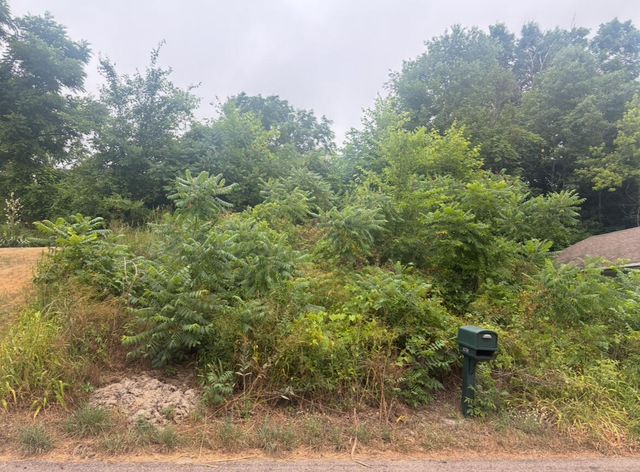 11717 Maywood Drive, Sparta, MI 49345