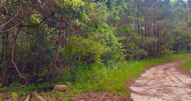 11400 Henderson Camp Road, Mobile, AL 36541