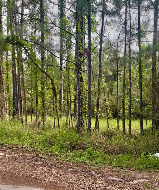 11400 Henderson Camp Road, Mobile, AL 36541