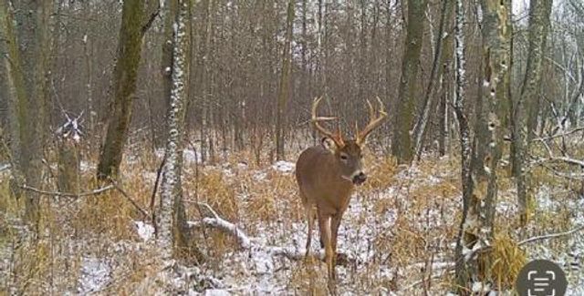 12776 222nd Court NW, Elk River, MN 55330