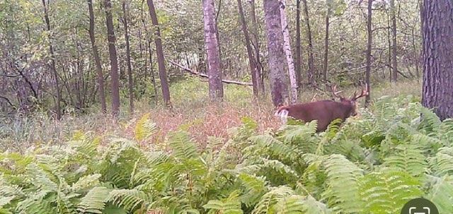 12776 222nd Court NW, Elk River, MN 55330