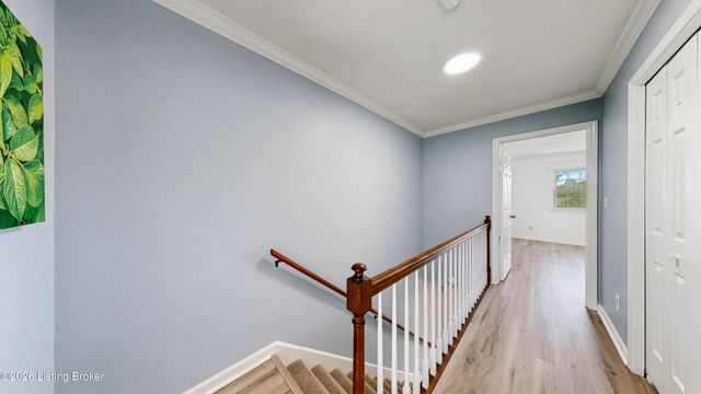 24 Gardiner Ct, Louisville, KY 40205