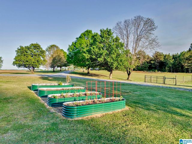 34555 HIGHWAY 25, Harpersville, AL 35078