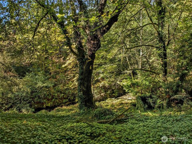 6017 64th Street W, University Place, WA 98467