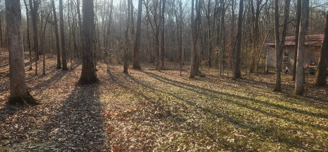 142 Beechview Dr, Clifton, TN 38425