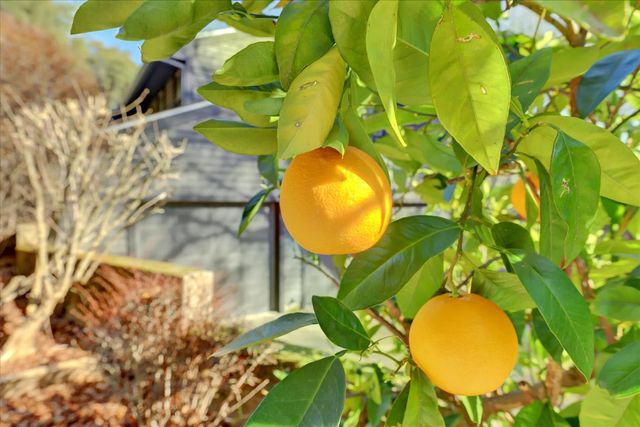 2790 Black Oak Rd, Auburn, CA 95602