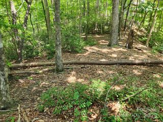 Lot 124, 125, & 101 Banjo Court, Lake Lure, NC 28746