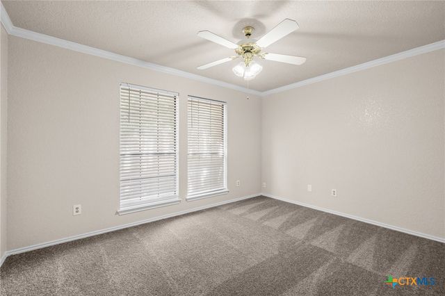 4302 Longhorn Trail, Temple, TX 76502