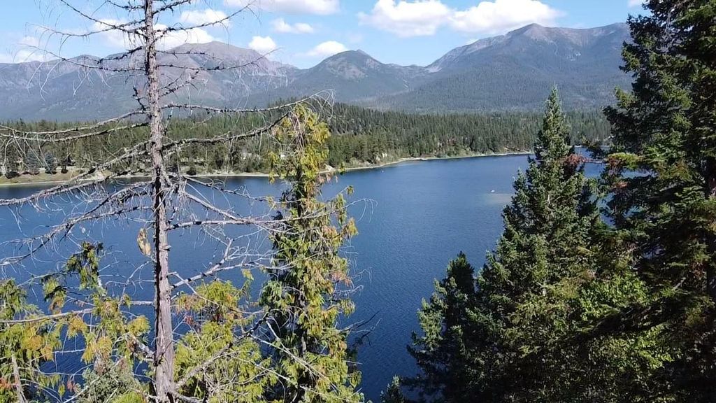 28782 Cedar Bay Lane, Bigfork, MT 59911 photo 12