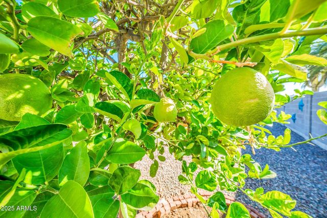 10517 W CUMBERLAND Drive, Sun City, AZ 85351