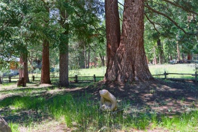 8067 Chilnualna Falls Road, Wawona, CA 95389
