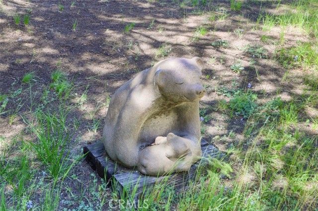 8067 Chilnualna Falls Road, Wawona, CA 95389