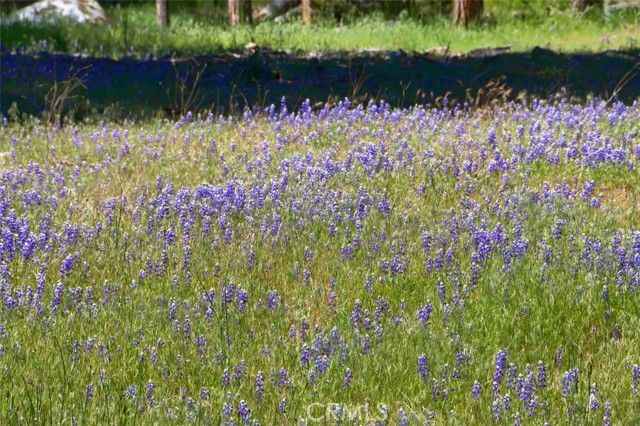 8067 Chilnualna Falls Road, Wawona, CA 95389