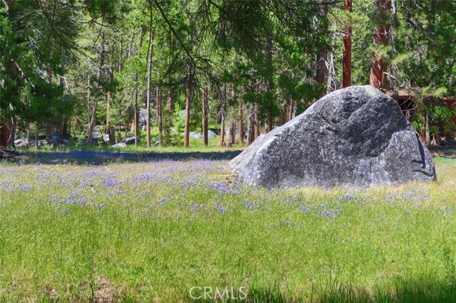 8067 Chilnualna Falls Road, Wawona, CA 95389