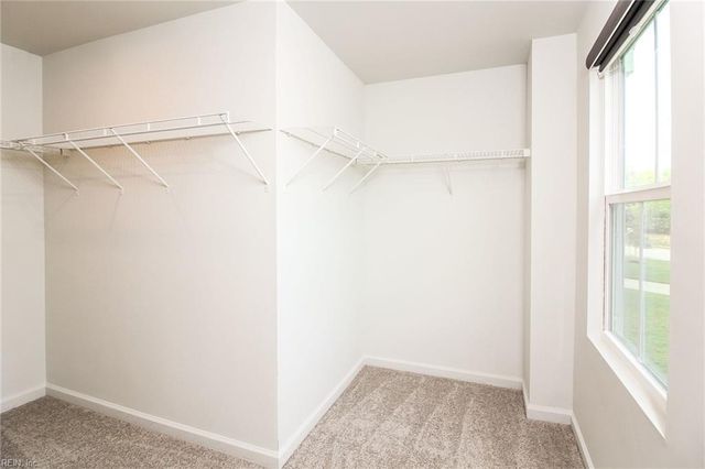 102 Pettigrew CT, Williamsburg, VA 23185