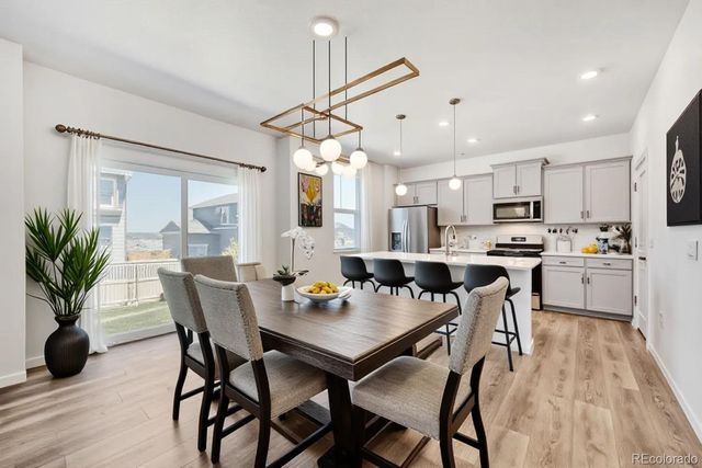 18379 Field Mint Point, Parker, CO 80134