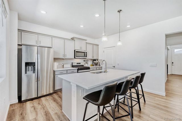18379 Field Mint Point, Parker, CO 80134
