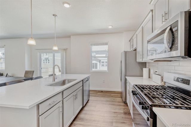 18379 Field Mint Point, Parker, CO 80134