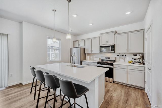 18379 Field Mint Point, Parker, CO 80134