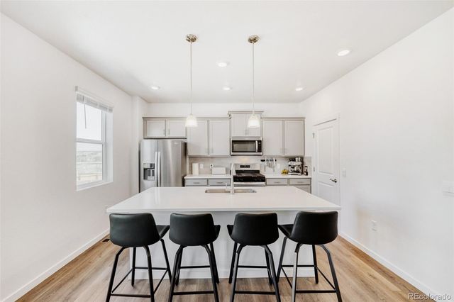 18379 Field Mint Point, Parker, CO 80134