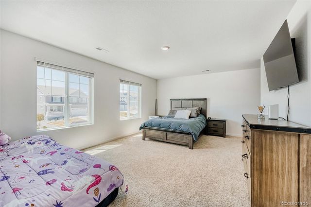 18379 Field Mint Point, Parker, CO 80134