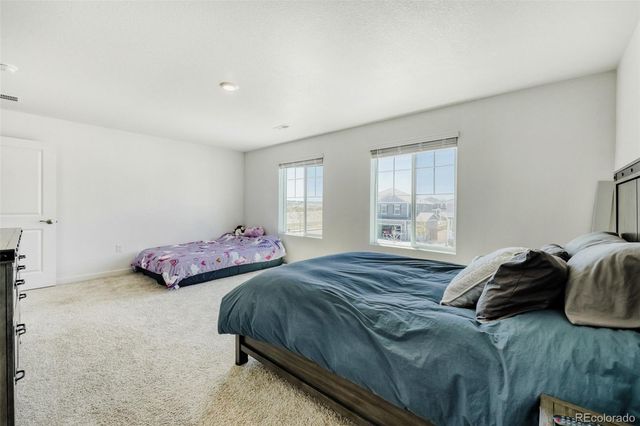 18379 Field Mint Point, Parker, CO 80134