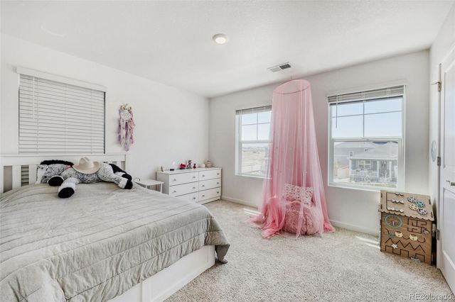 18379 Field Mint Point, Parker, CO 80134