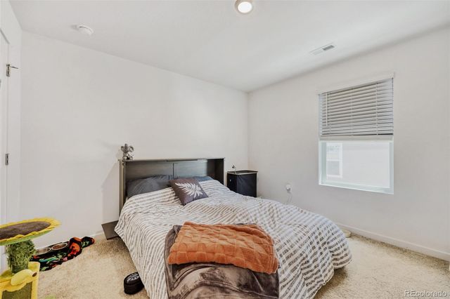 18379 Field Mint Point, Parker, CO 80134