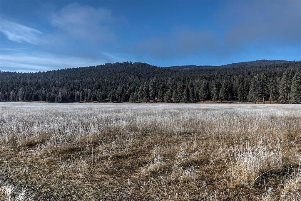 13442 Vannoy Lane, Greenough, MT 59823 photo 10