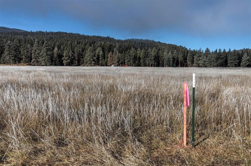 13442 Vannoy Lane, Greenough, MT 59823 photo 11