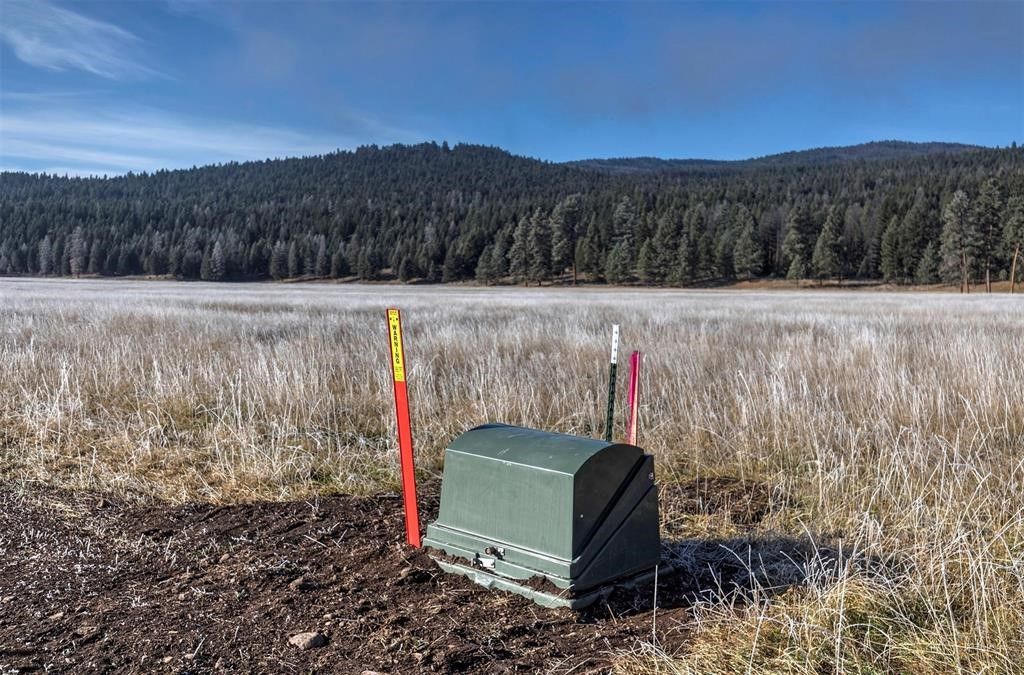 13442 Vannoy Lane, Greenough, MT 59823 photo 12