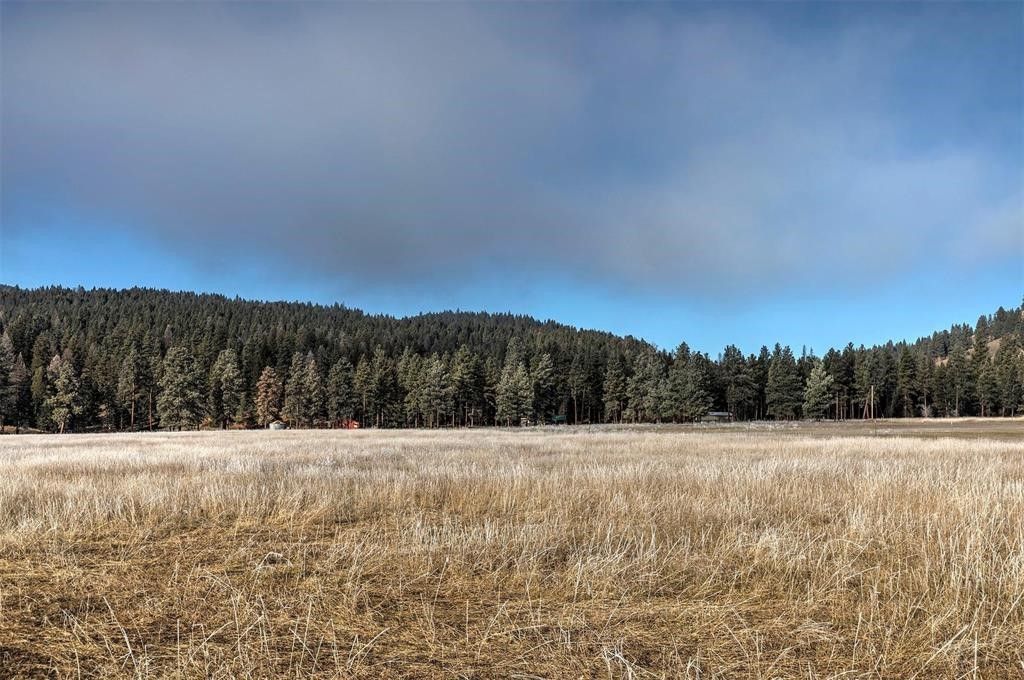 13442 Vannoy Lane, Greenough, MT 59823 photo 9