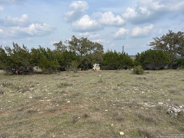 113 William Woods, Blanco, TX 78606