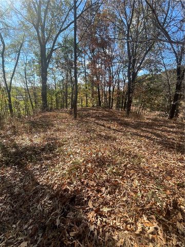 22401 Downum, Elm Springs, AR 72762