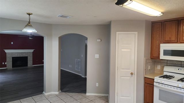 20218 Mammoth Falls Drive, Tomball, TX 77375